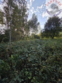 Partner Nieruchomości 11473270