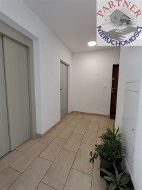 Partner Nieruchomości 11523964