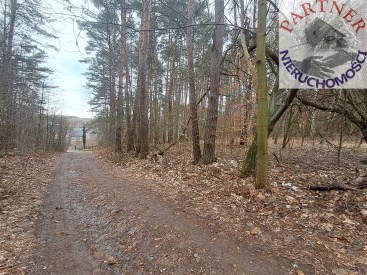 Partner Nieruchomości 11629874