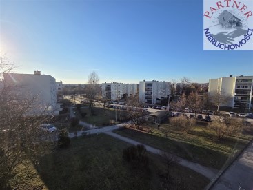 Partner Nieruchomości 11647914