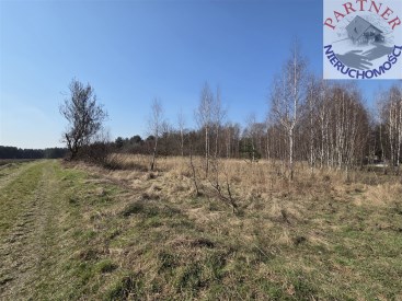 Partner Nieruchomości 11690637
