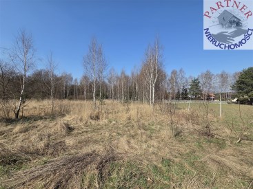 Partner Nieruchomości 11690638