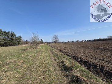 Partner Nieruchomości 11690640