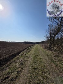 Partner Nieruchomości 11690641